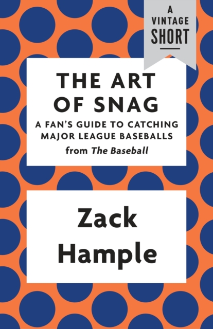 Art of Snag, EPUB eBook