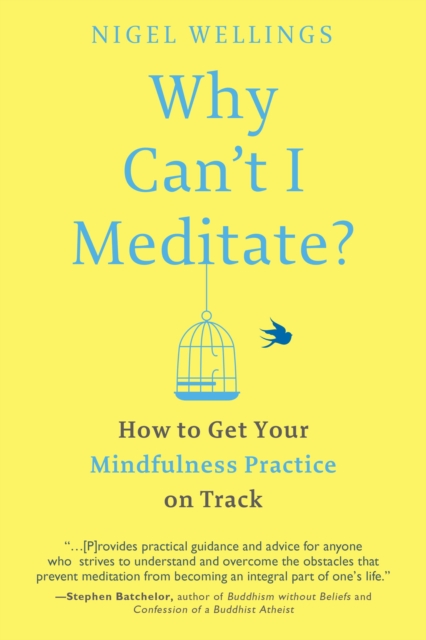 Why Can't I Meditate?, EPUB eBook