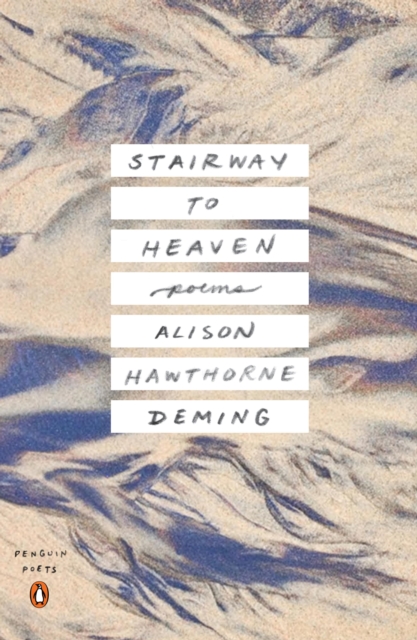 Stairway to Heaven, EPUB eBook