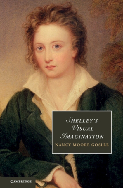 Shelley's Visual Imagination, Hardback Book