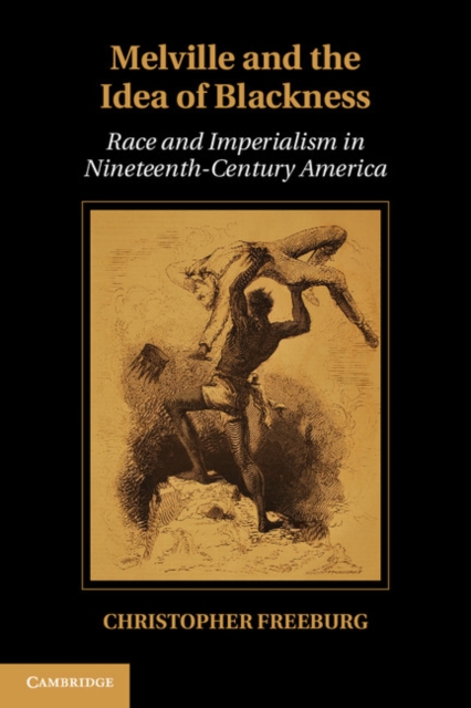 Melville and the Idea of Blackness : Race and Imperialism in Nineteenth-Century America, Hardback Book