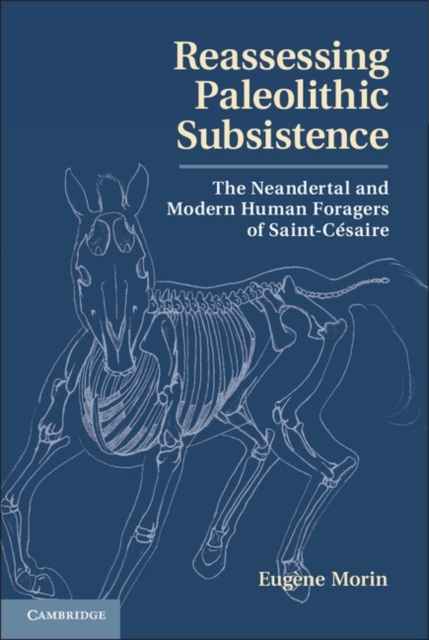 Reassessing Paleolithic Subsistence : The Neandertal and Modern Human Foragers of Saint-Cesaire, Hardback Book