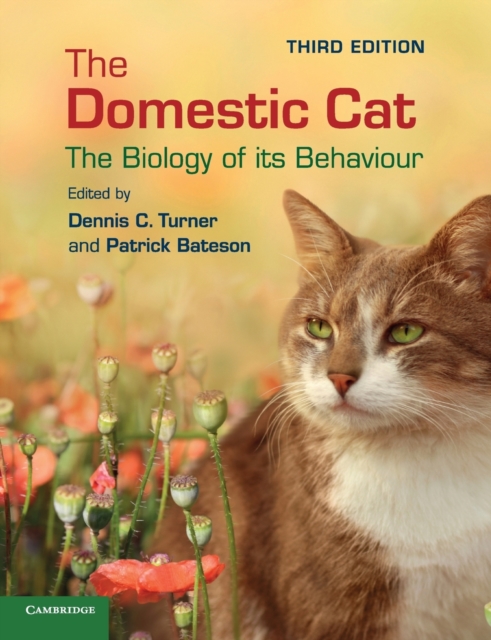 The Domestic Cat : The Biology of its Behaviour, Paperback / softback Book