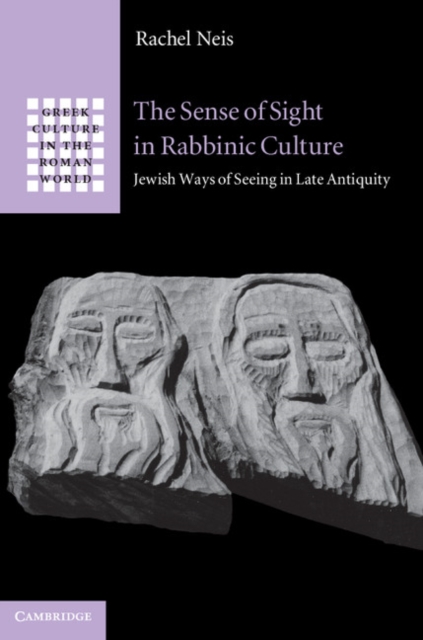 The Sense of Sight in Rabbinic Culture : Jewish Ways of Seeing in Late Antiquity, Hardback Book