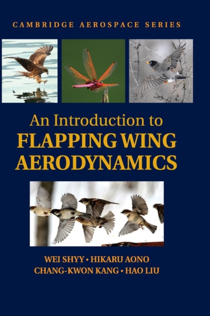 An Introduction to Flapping Wing Aerodynamics, Hardback Book