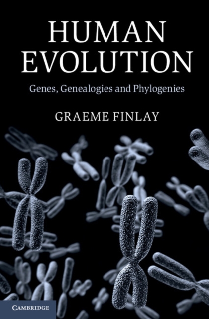 Human Evolution : Genes, Genealogies and Phylogenies, Hardback Book