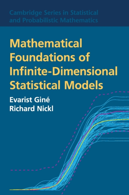 Mathematical Foundations of Infinite-Dimensional Statistical Models, Hardback Book