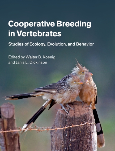 Cooperative Breeding in Vertebrates : Studies of Ecology, Evolution, and Behavior, Hardback Book