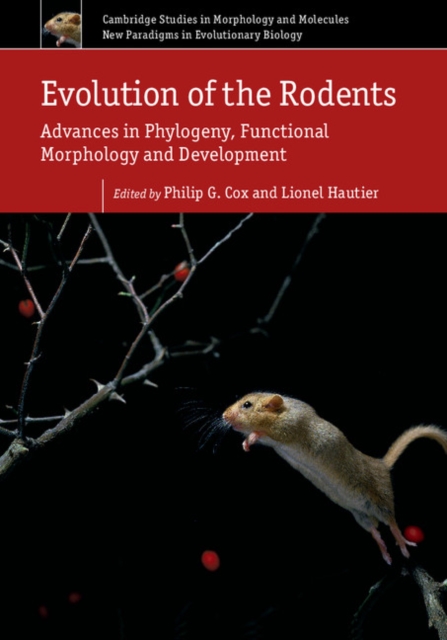 Evolution of the Rodents: Volume 5 : Advances in Phylogeny, Functional Morphology and Development, Hardback Book