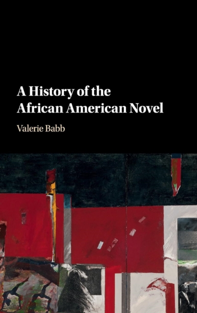 A History of the African American Novel, Hardback Book