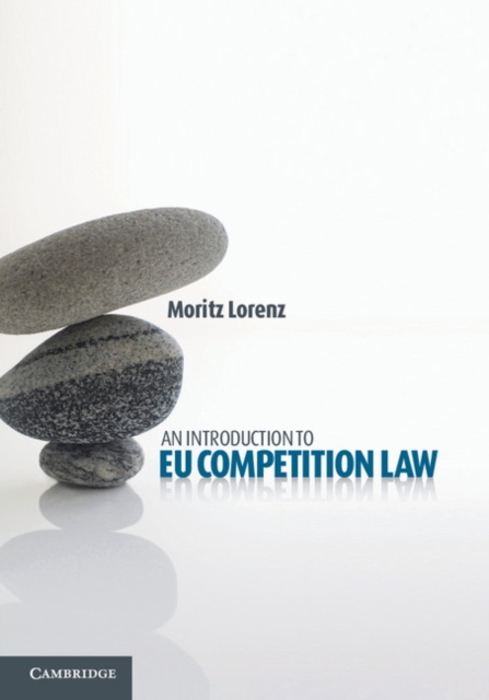 Introduction to EU Competition Law, PDF eBook