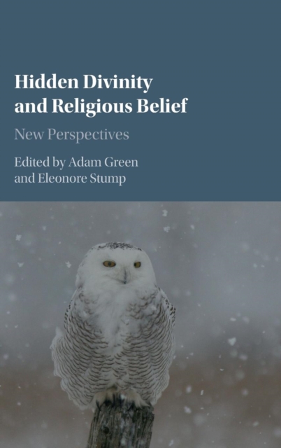 Hidden Divinity and Religious Belief : New Perspectives, Hardback Book