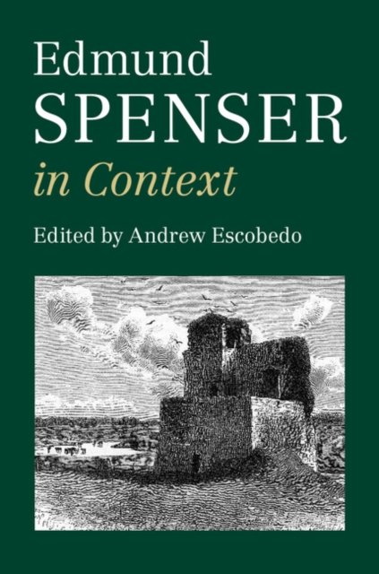 Edmund Spenser in Context, Hardback Book