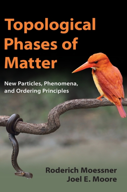 Topological Phases of Matter, Hardback Book