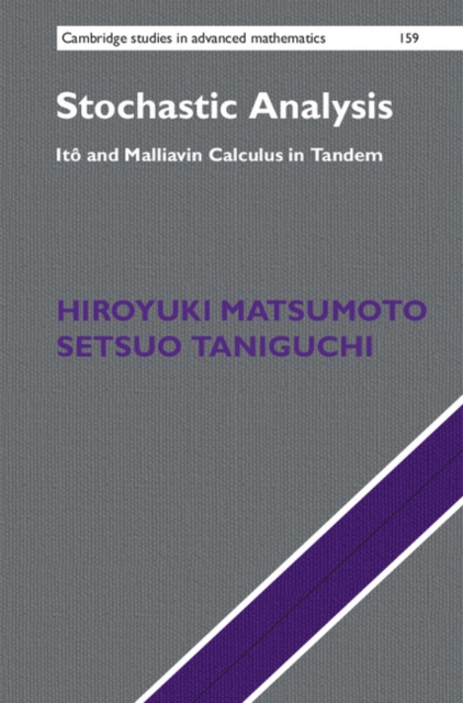 Stochastic Analysis : Ito and Malliavin Calculus in Tandem, Hardback Book