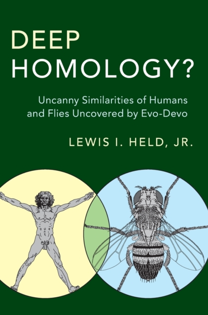 Deep Homology? : Uncanny Similarities of Humans and Flies Uncovered by Evo-Devo, Hardback Book