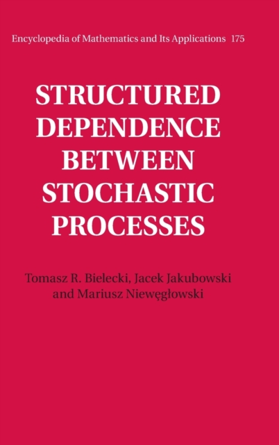 Structured Dependence between Stochastic Processes, Hardback Book