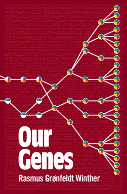 Our Genes : A Philosophical Perspective on Human Evolutionary Genomics, Hardback Book