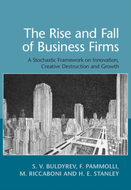 The Rise and Fall of Business Firms : A Stochastic Framework on Innovation, Creative Destruction and Growth, Hardback Book