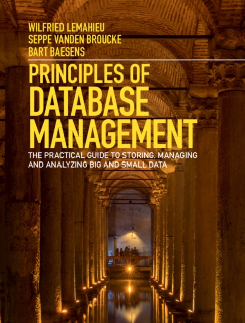 Principles of Database Management : The Practical Guide to Storing, Managing and Analyzing Big and Small Data, Hardback Book