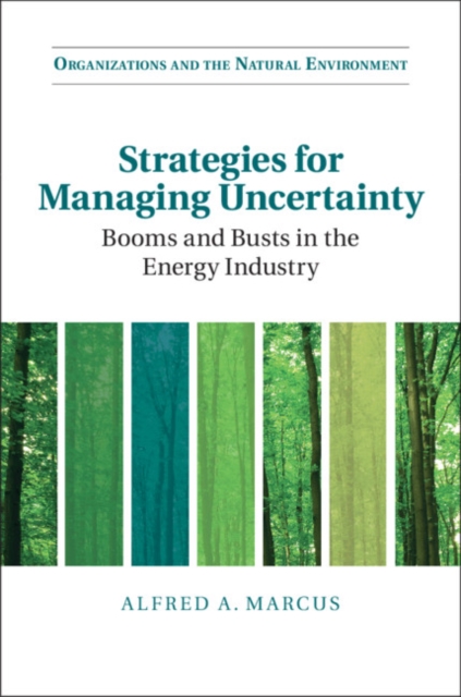 Strategies for Managing Uncertainty : Booms and Busts in the Energy Industry, Hardback Book