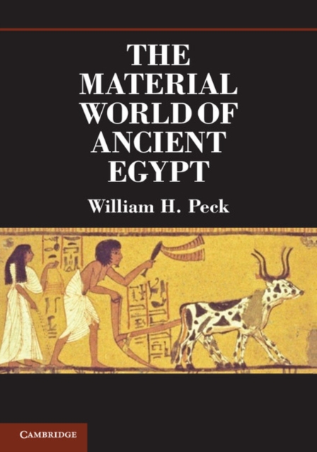 Material World of Ancient Egypt, EPUB eBook