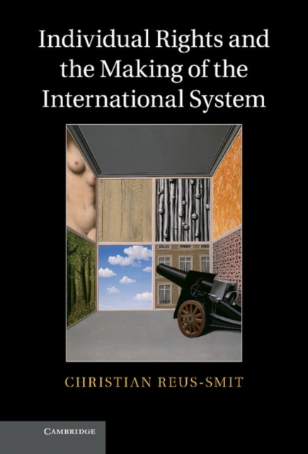 Individual Rights and the Making of the International System, EPUB eBook