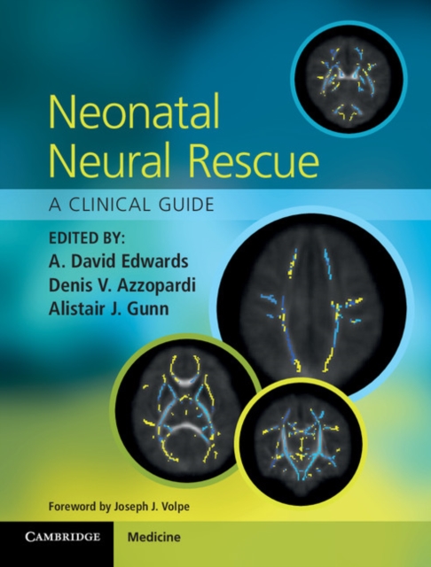 Neonatal Neural Rescue : A Clinical Guide, PDF eBook