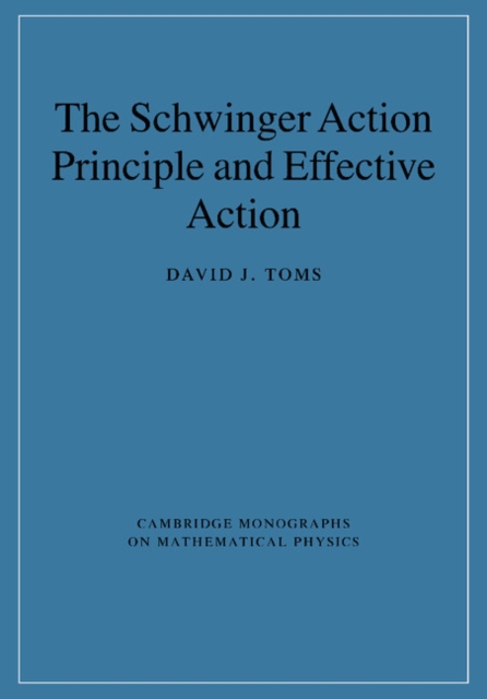 The Schwinger Action Principle and Effective Action, Paperback / softback Book