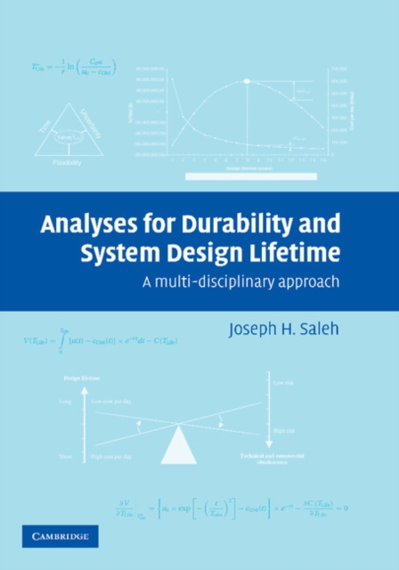 Analyses for Durability and System Design Lifetime : A Multidisciplinary Approach, Paperback / softback Book