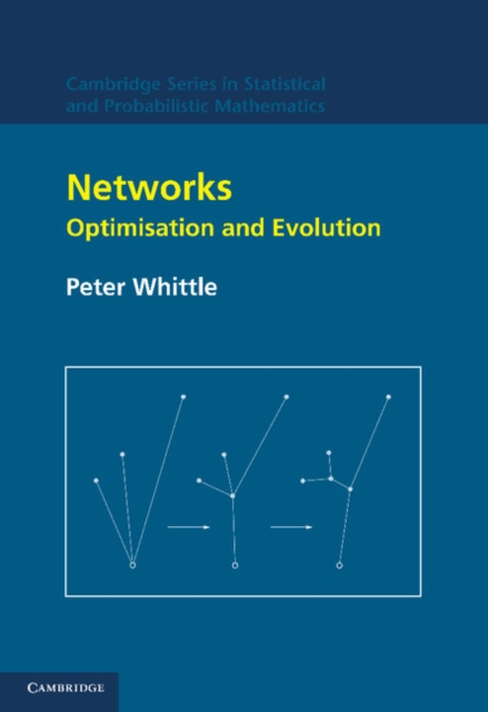 Networks : Optimisation and Evolution, Paperback / softback Book