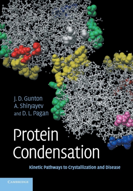 Protein Condensation : Kinetic Pathways to Crystallization and Disease, Paperback / softback Book