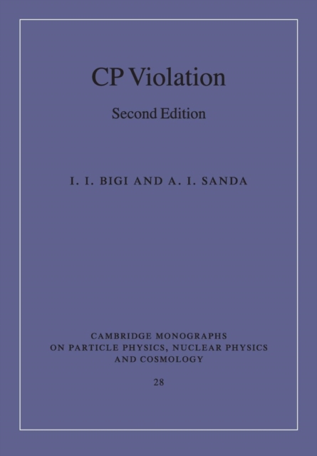 CP Violation, Paperback / softback Book