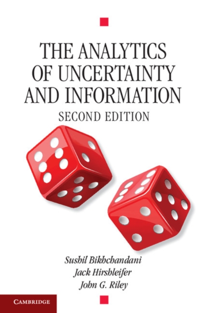 Analytics of Uncertainty and Information, PDF eBook