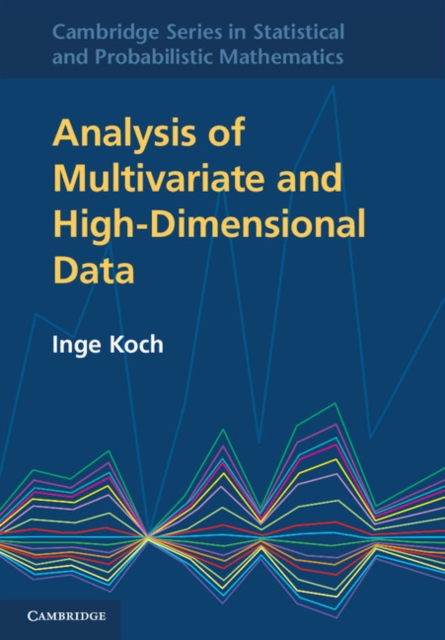 Analysis of Multivariate and High-Dimensional Data, PDF eBook
