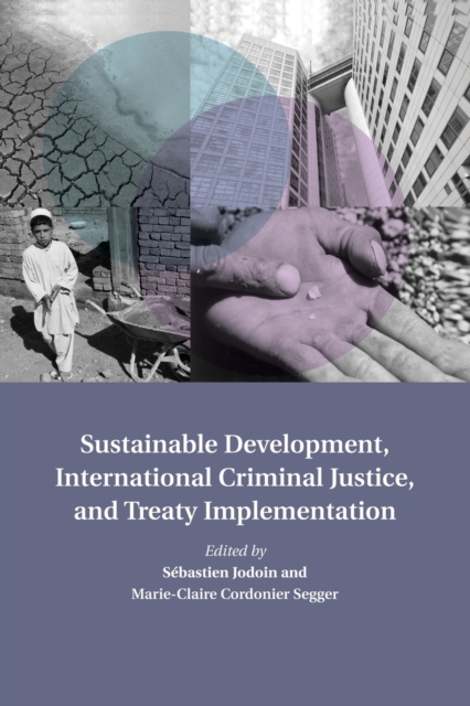 Sustainable Development, International Criminal Justice, and Treaty Implementation, Paperback / softback Book