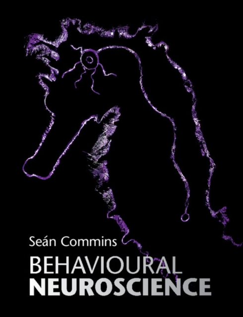 Behavioural Neuroscience, Paperback / softback Book