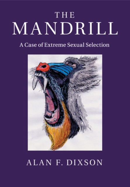 The Mandrill : A Case of Extreme Sexual Selection, Paperback / softback Book