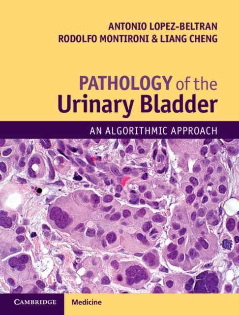 Pathology of the Urinary Bladder : An Algorithmic Approach, Multiple-component retail product Book