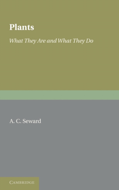 Plants : What They Are and What They Do, Paperback / softback Book