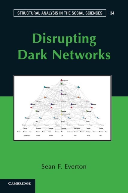 Disrupting Dark Networks, Paperback / softback Book