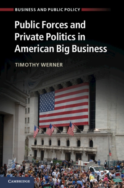 Public Forces and Private Politics in American Big Business, Paperback / softback Book