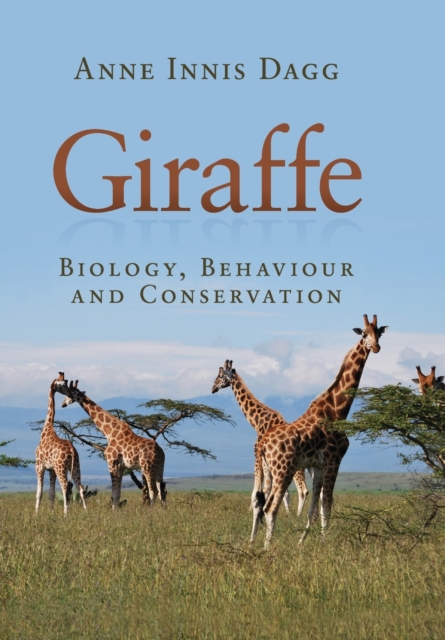 Giraffe : Biology, Behaviour and Conservation, Paperback / softback Book