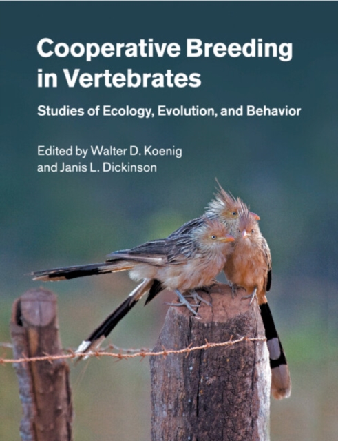 Cooperative Breeding in Vertebrates : Studies of Ecology, Evolution, and Behavior, Paperback / softback Book
