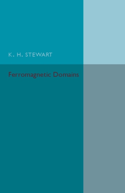 Ferromagnetic Domains, Paperback / softback Book