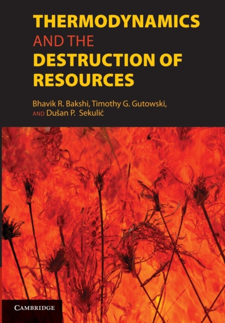 Thermodynamics and the Destruction of Resources, Paperback / softback Book