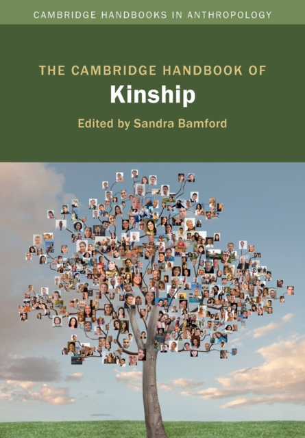 The Cambridge Handbook of Kinship, Paperback / softback Book