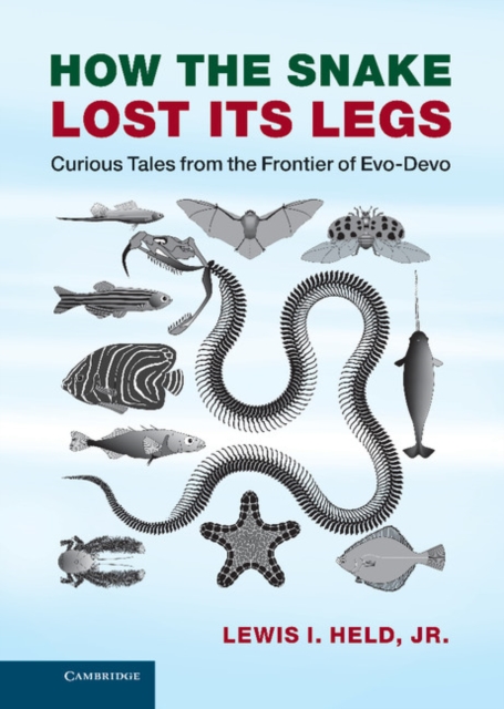 How the Snake Lost its Legs : Curious Tales from the Frontier of Evo-Devo, EPUB eBook
