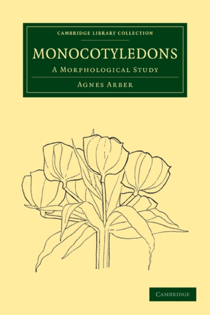 Monocotyledons : A Morphological Study, Paperback / softback Book