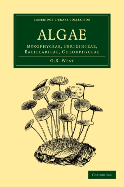 Algae: Volume 1, Myxophyceae, Peridinieae, Bacillarieae, Chlorphyceae, Paperback / softback Book